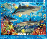 Seaside (Bord de Mer), David Penfound