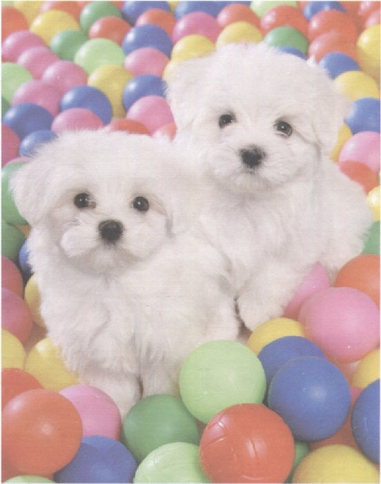 Playpen Puppies