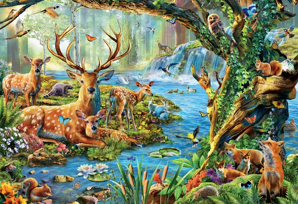Forest Life