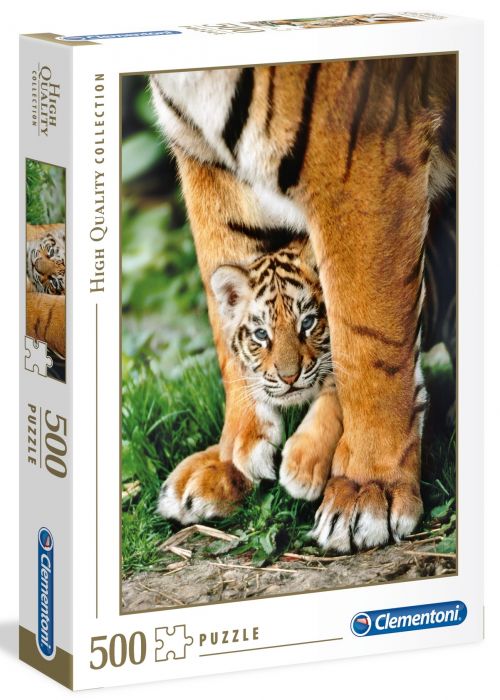 Bengal Tiger Cub Between Its Mother's Legs ( Petit tigre de Bengalie)
