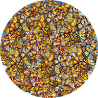 Monarch Frenzy (Shaped), Lori Schory