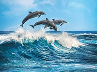 Dolphins