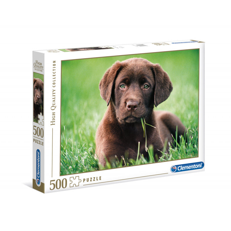 Chocolate Puppy