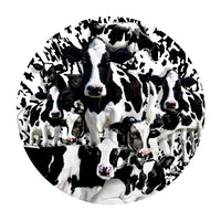 Troupeau de vaches (en forme), Lori Schory