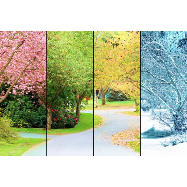 Four Seasons Tree (1500pcs)