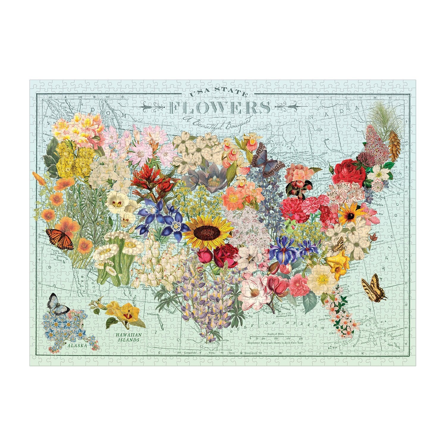 USA State Flowers, Wendy Gold