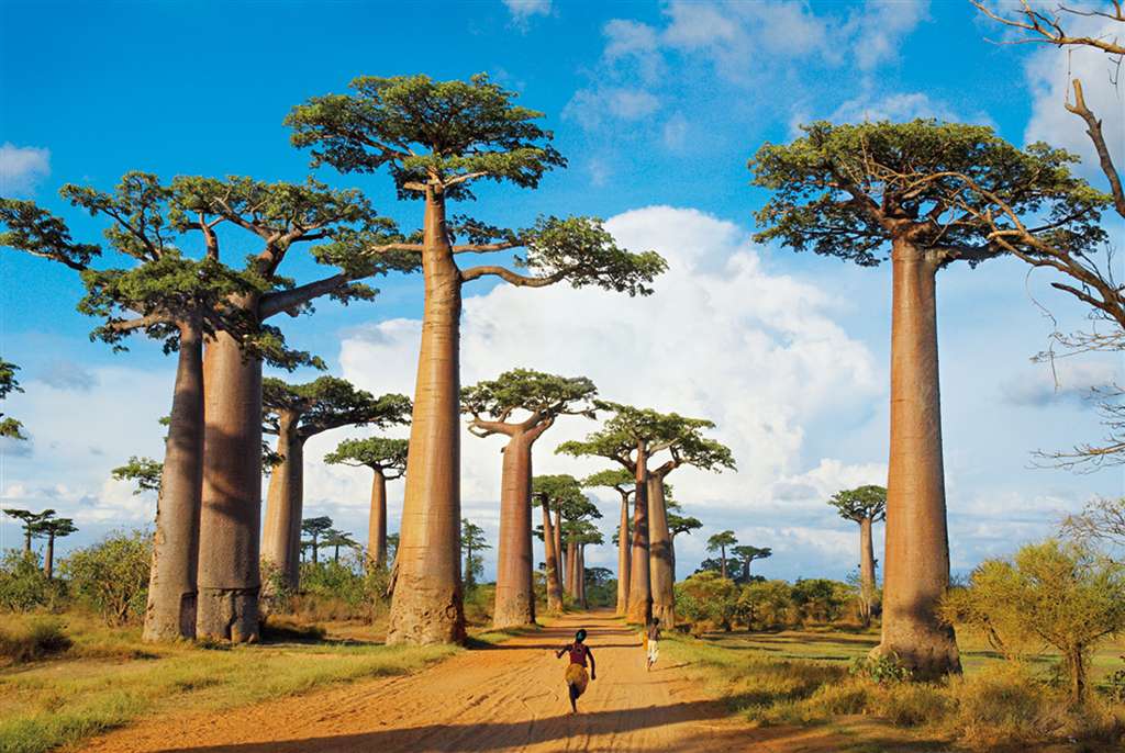 Madagascar