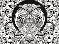 OWL - Puzzle de thérapie coloraire 3D (verres 3D inclus)