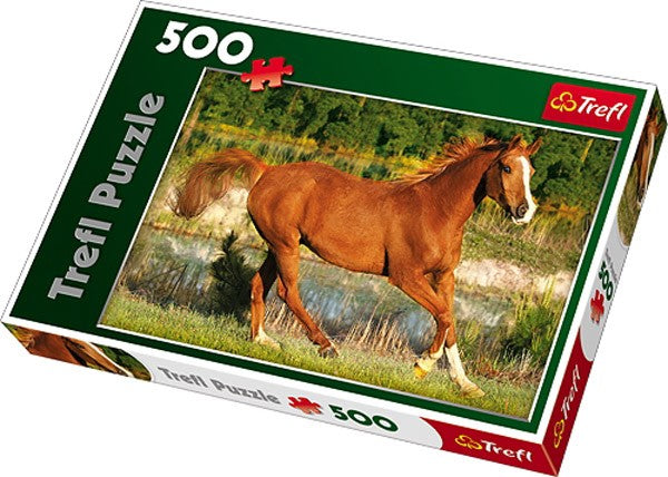 La beauté du galop