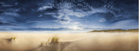 Sylt Infinite vastness