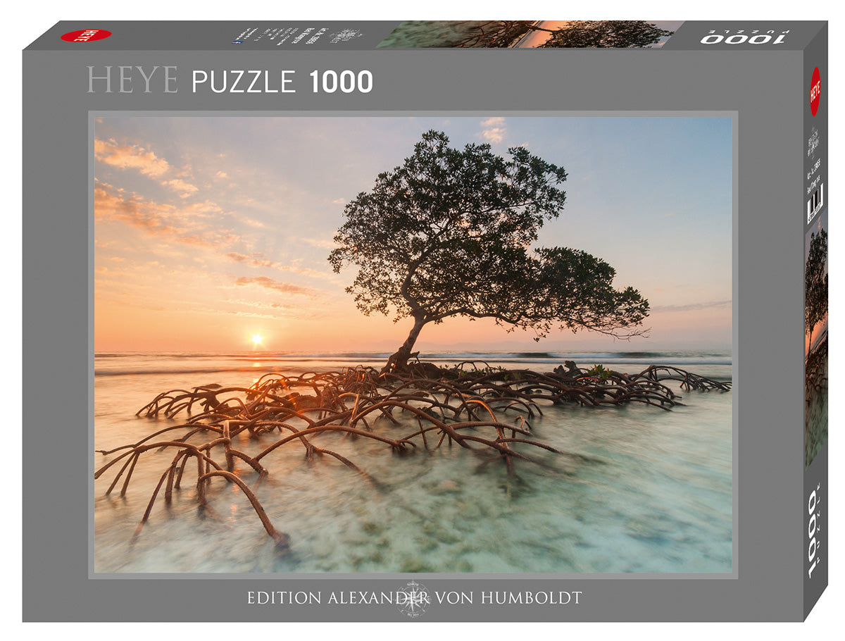 Red Mangrove (1000pcs)