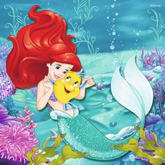 Ravensburger Disney - Princesses Adventure (3 x 49pcs)