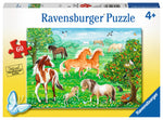 Ravensburger Horse Meadow (Chevauz au PRÉ)