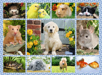 Ravensburger mon premier animal