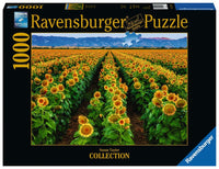 Ravensburger Fields of Gold (Mines d'or), Susan Taylor