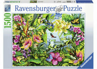 Ravensburger Find the Frogs (Cherche et trouve les)