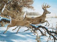 Breaking Cover (1000pcs)