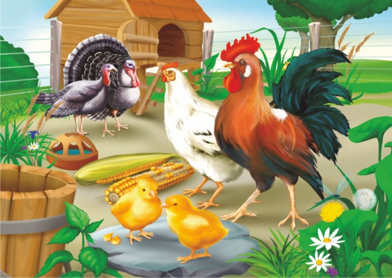 Rooster and Hen