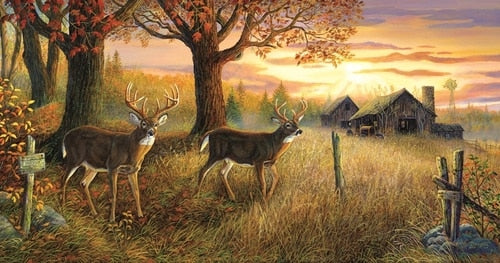 Unknown Sanctuary, Terry Doughty