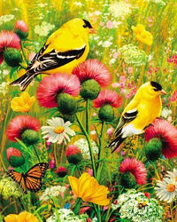 Goldfinch - Puzzles-to-REMBER