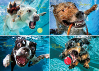 Underwater Dogs: Pool Pawty (1000pcs)