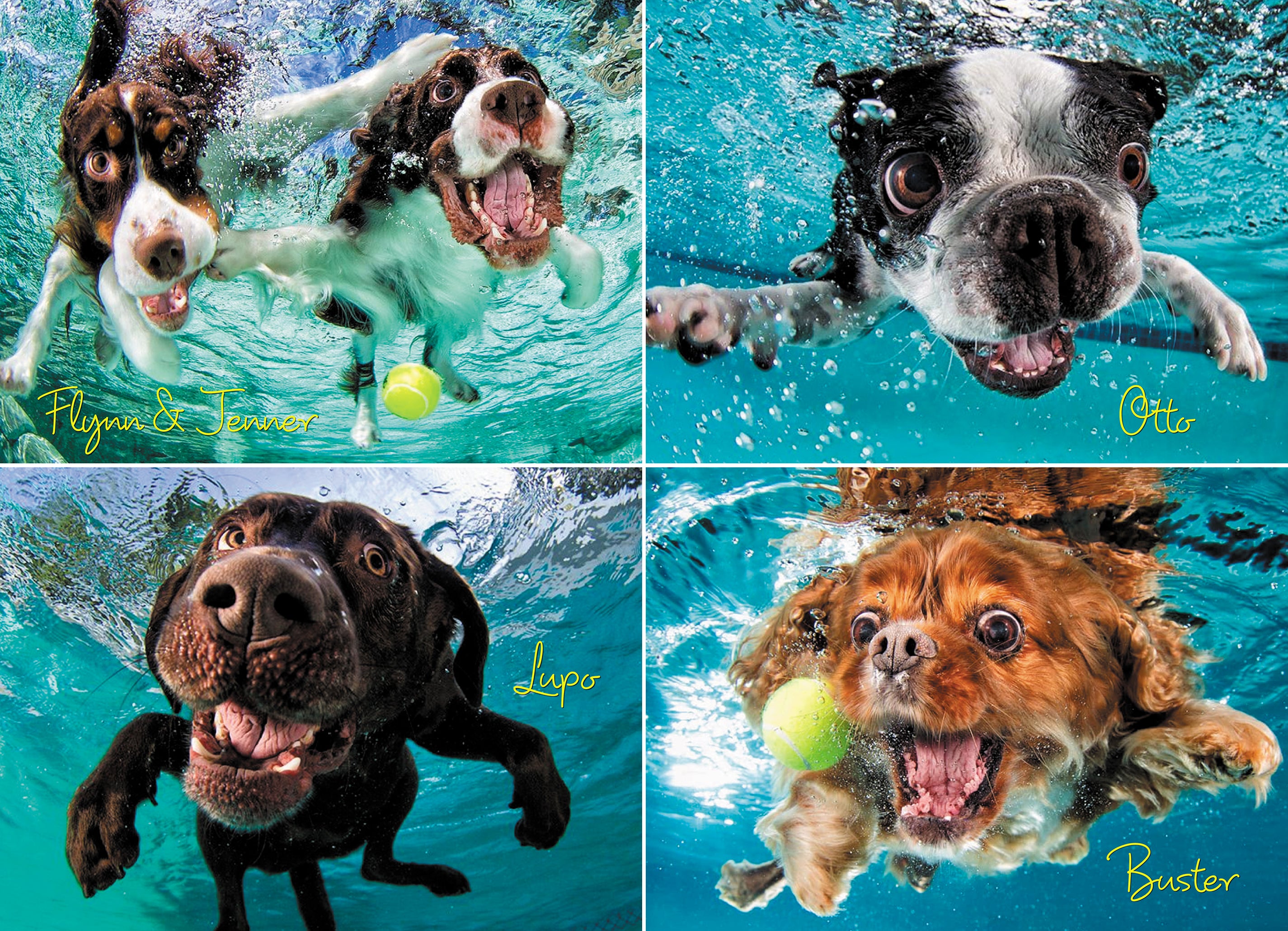 Underwater Dogs: Ruff Water (1000pcs)