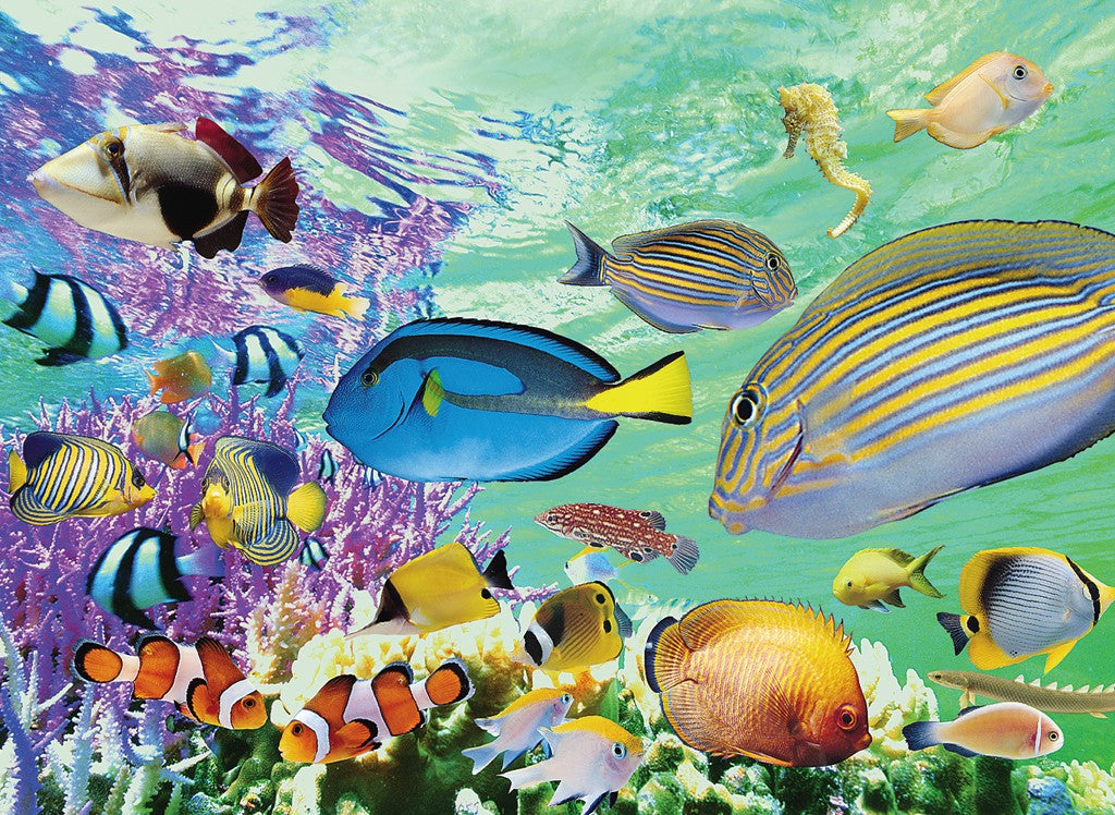 Tropical Marine