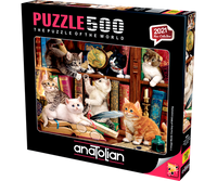 Chatons de la bibliothèque (500pcs)