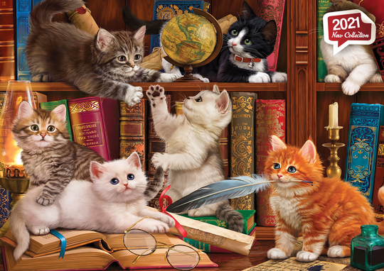 Kittens In The Library (500pcs)