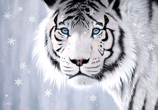Crystal Eyes, Jon Rattenbury (500pcs)