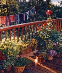 Vêtements de séchage rose parfumé