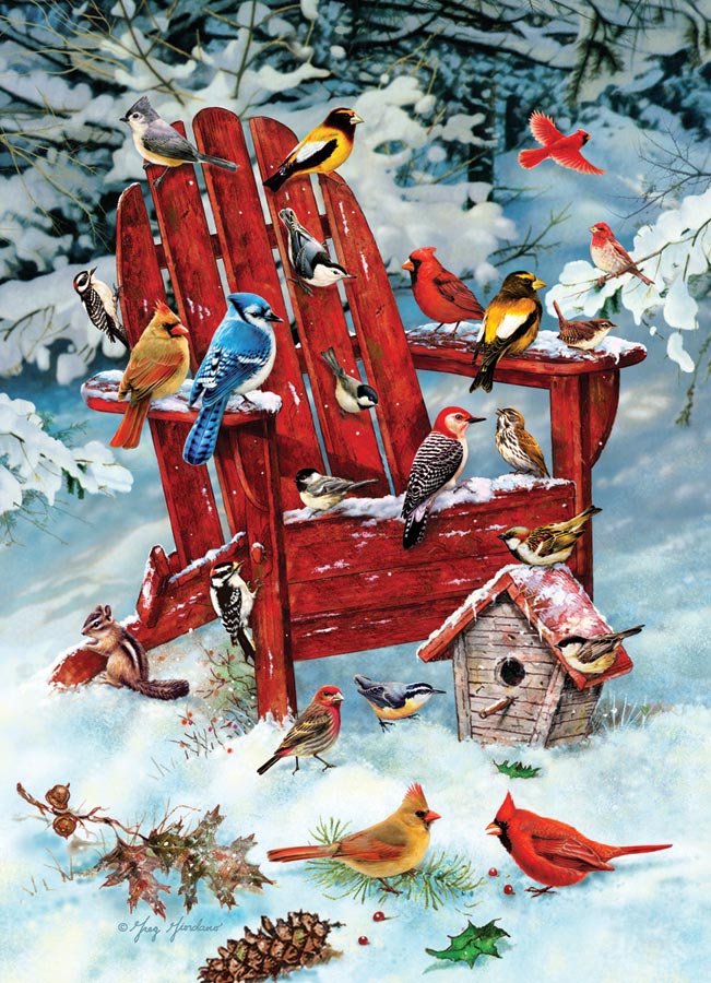 Adirondack Birds