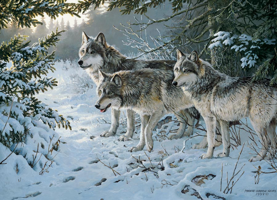 Wolf Trail