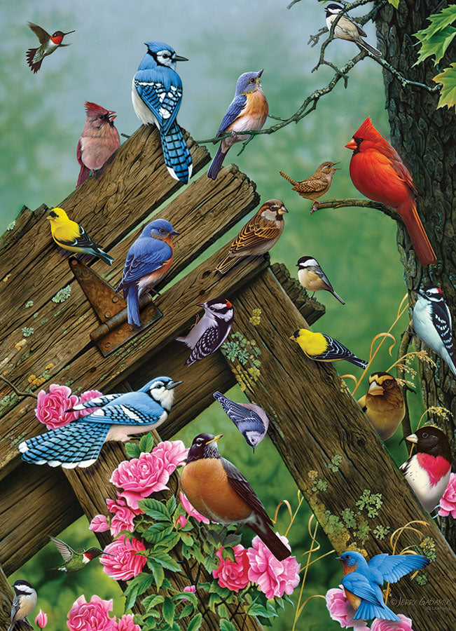 Birds of the Forest, Jerry Gadamus (1000pcs)