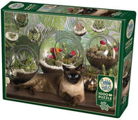 Terrarium Cat, Jo-Ann Richards