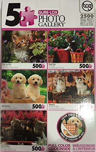 PFG Photo Gallery (5x500pcs) (Usagé/Used - PUZZLES FOR GOOD)
