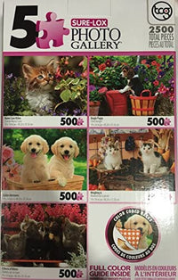 Galerie de photos PFG (5x500pcs) (USAGÉ / USET - Puzzles pour de bon)