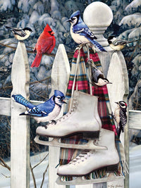 Birds with Skates, Greg Giordano