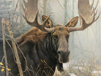 Bull Moose, Robert Bateman (500pcs)