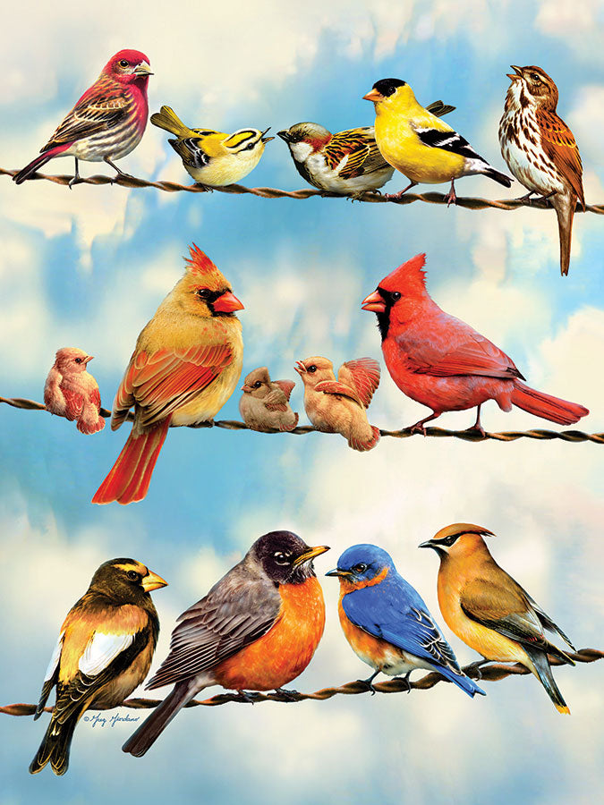 Birds on a Wire, Greg Giordano