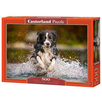 Goût de la liberté