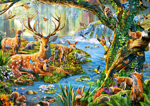 Forest Life, Adrian Chesterman