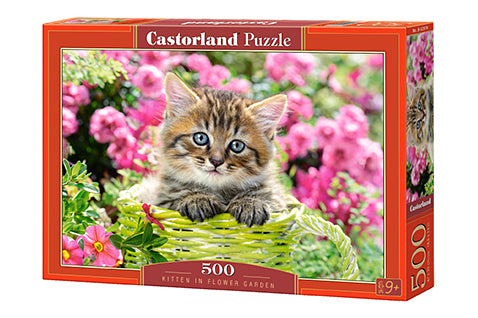 Kitten in Flower Garden, Greg Cuddiford