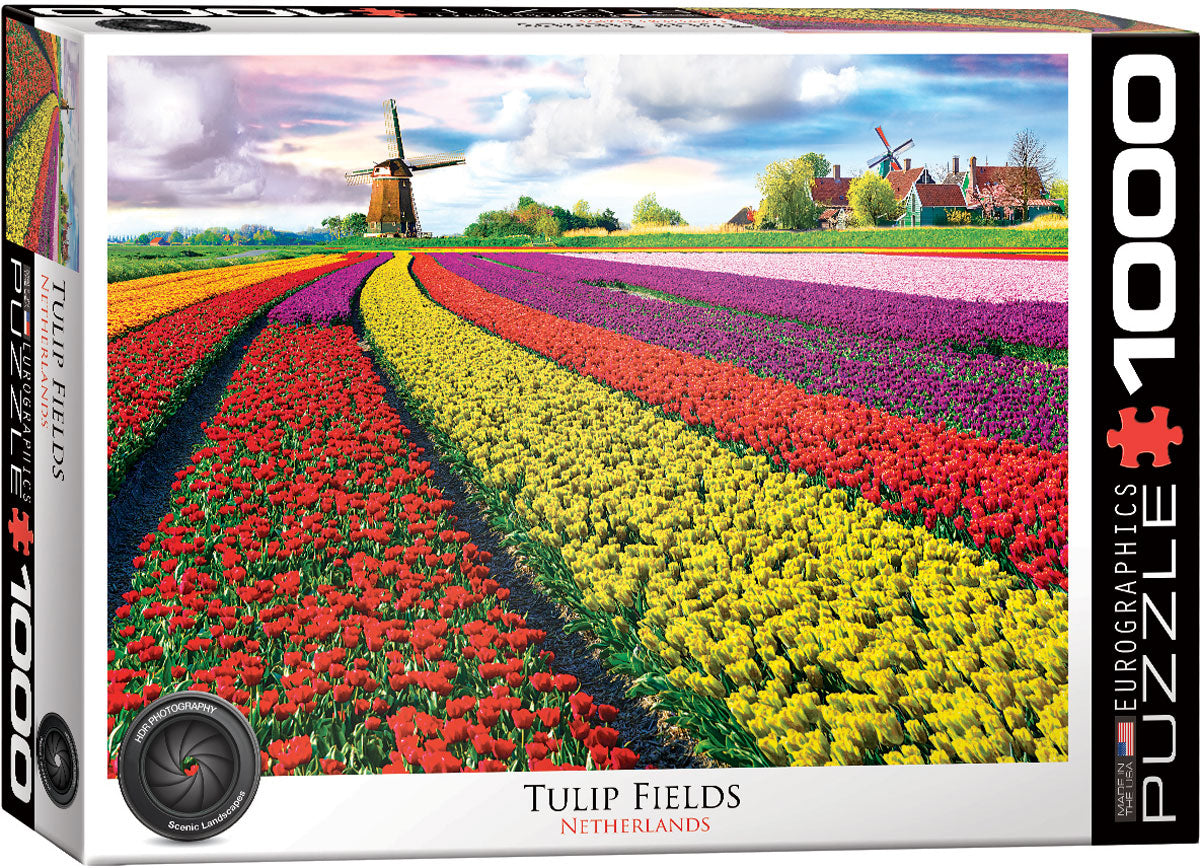 Tulip Fields, Netherlands