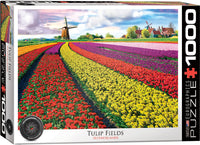 Tulip Fields, Netherlands