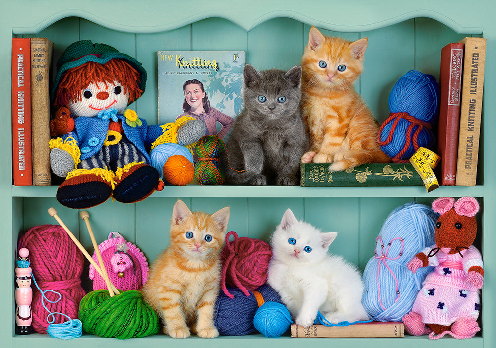Étagères de chaton (500pcs)