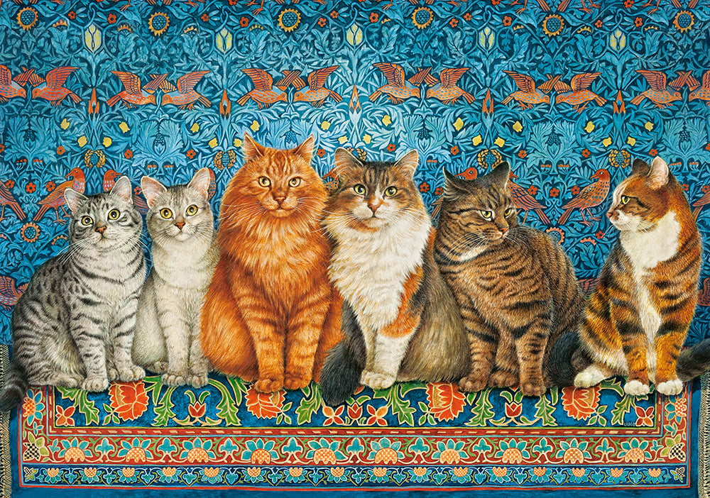 Aristocratie du chat (500pcs)