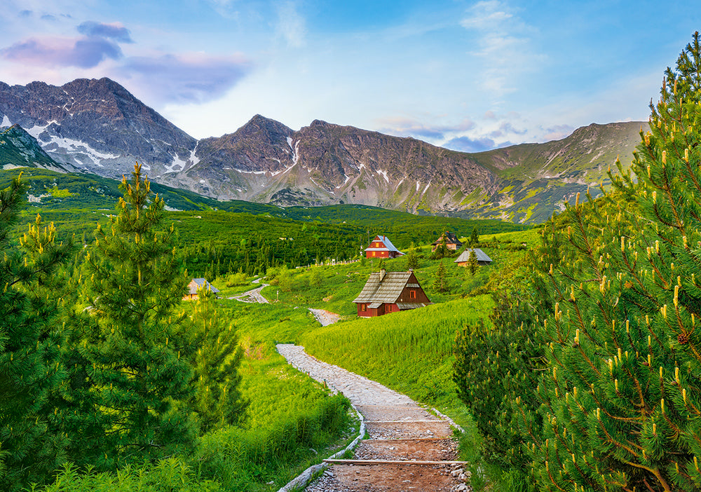 Trail à Tetras, Pologne (500pcs)