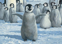 Pingouins ludiques, puzzle familial