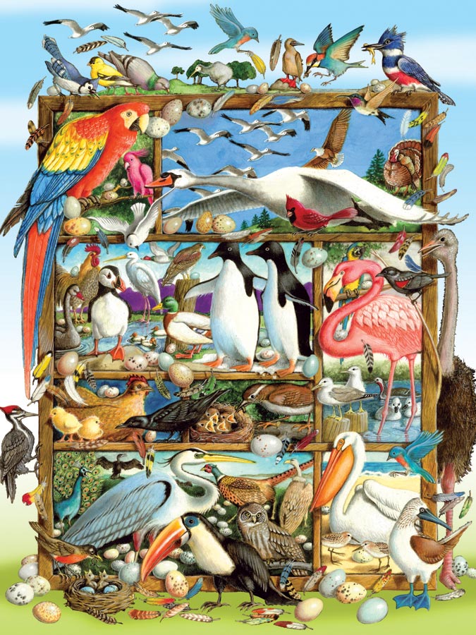 Birds of the World Montage